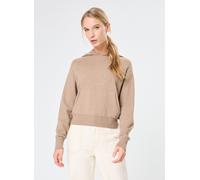 Vêtements Replay Maille Capuche pour Femme L Marron