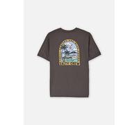 Vêtements Salty Crew Archway Boys Ss Tee pour Enfant 8A - 10A Gris