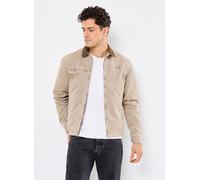 Vêtements Schott Blouson Col Chemise-CADAMSWASH pour Homme M Beige