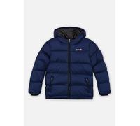Vêtements Schott Doudoune Courte Kid Schott IDAHO2B pour Accessoires 8A Bleu