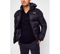 Vêtements Schott Utah2 Doudoune pour Homme M Noir