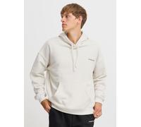 Vêtements The Jogg Concept JCMSANDER HOODIE SWEAT pour Accessoires L Beige