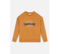 Vêtements Timberland T60315 pour Accessoires 14A Jaune
