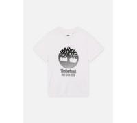 Vêtements Timberland T60381 pour Enfant 6A Blanc