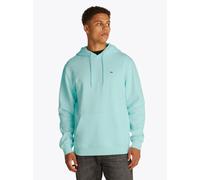 Vêtements Tommy Jeans Tjm Reg S Flag Fleec DM0DM20742 pour Accessoires L Vert