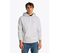 Vêtements Tommy Jeans TJM REG S FLAG HOODI pour Homme M Gris