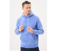 Vêtements Tommy Jeans TJM REG S FLAG HOODI pour L Bleu