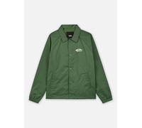 Vêtements Vans By Torrey Ii Boys pour Enfant 10A Vert