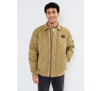Vêtements Vans Hathaway Bomber pour S Vert