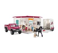 Vétérinaire mobile et son van