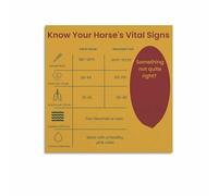 Veterinary Horse Care Poster: Normal Vital Signs Chart, Essential Knowledge for Horse Owners, Canvas Wall Art(Framed,16x24inch(40x60cm))