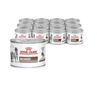 Veterinary Recovery | Mousse pour Chiens & Chats | 12 x 195 g | Royal Canin | Aliment diététique complet | Soutien nutritionnel en convalescence