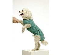 VetMedCare Body Post-Opératoire Pour Chat Femelle Taille XXS 1 Pièce
