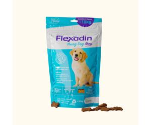 VETOQUINOL Flexadin Young Dog Maxi 60 dosettes