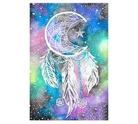 VETPW Kit de Peinture Diamant 5D, Peinture par Numéro Kit, Attrapeur de Rêves Bricolage Strass Diamond Art Painting Broderie Point De Croix Diamant Craft pour Home Décoration Murale (30x40CM)