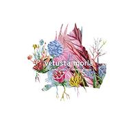 Vetusta Morla - Mismo Sitio, Distinto. [Import]
