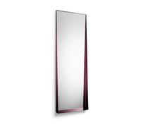 Veuillez Attendre D'être Assis Bec Miroir Grand Figue Violet