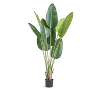VEVOR Arbre Artificiel 1524 mm Plante Artificielle PE Palmier Oiseau du Paradis Faux Arbre Vert avec Pot 152x128 mm Fausse Plante Décoration pour Maison Bureau Centres Commerciaux Intérieur Extérieur