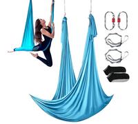 VEVOR Balancelle de yoga aérienne et hamac de 5 m avec tissu 100 g/m², matériel de suspension complet et guide de démarrage rapide pour les entraînements défiant la gravité, débutant à avancé