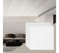 VEVOR Dalles de Plafond Lot de 12 PVC 605 mm x 605 mm Déco Motif Echo Blanc