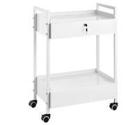 VEVOR Chariot de Laboratoire 2 Niveaux en Acier Inoxydable, Médical et de Service, Grande Capacité 100 kg, 2 Tiroirs, pour Laboratoire, Salon, Hôpital, Usage Dentaire, Blanc
