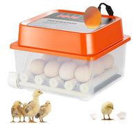 VEVOR Couveuse Œuf Automatique Incubateur pour Œufs à Couver Retournement Automatique 12 Œufs avec Contrôle de Température et d'Humidité Base Transparente pour Éclosion d'Œufs de Poule Canard Caille