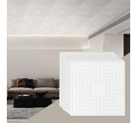 VEVOR Dalles de Plafond Lot de 12 PVC 605 mm x 605 mm Déco Motif Echo Blanc