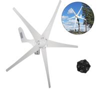 VEVOR Eolienne 500W - Générateur éolien DC 12V avec 5 pales de rotor, pour une faible vitesse de démarrage, idéal pour l'éclairage de jardin, lampadaire