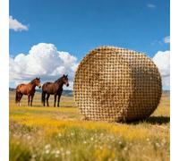 VEVOR Filet à Foin Balle Ronde 1,5x1,5x1,5 m Filet Balle Foin Cheval Polyéthylène pour Alimentation Lente Chevaux, Maille 4,4 cm avec Attaches Autobloquantes Navette à Aiguilles Ficelle de Réparation