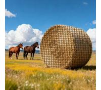 VEVOR Filet à Foin Balle Ronde 1,8x1,8x1,8 m Filet Balle Foin Cheval PE pour Alimentation Lente Chevaux, Maille 4,2 cm sans Nœuds Attaches Autobloquantes Navette Aiguilles Ficelle Réparation et Sac