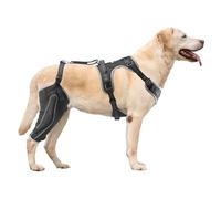 VEVOR Genouillère pour Chien Déchirure Ligament Croisé Antérieur, Attelle pour Patte de Chien Arrière Droite avec Stabilisateur de Charnière Réglable, Harnais de Soutien, pour Récupération Arthrite
