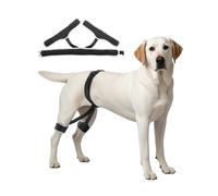 VEVOR Harnais de Soutien Hanche Chien pour Dysplasie Hanche Douleur Articulaire