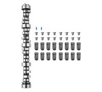 VEVOR Kit Arbre à Cames avec Ressorts et Joints de Soupape, Compatible avec Norris GM Gen3/4 1999-2013 et Moteurs LS 4,8 L, 5,3 L, 6 L et 6,2 L, OEM 12625437 SP011-16, en Fonte, Atelier Garage