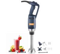 VEVOR Mixeur Plongeant Commercial Mélangeur à Main Immersion 350 W Tige 254 mm