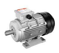 VEVOR Moteur électrique 2,2 kW triphasé 2890 tr/min 400 V 4,7 A arbre 24 mm pour machines agricoles