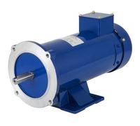 VEVOR Moteur à courant continu 1 CV moteur à aimant permanent vitesse nominale 1750 tr/min moteur électrique 12 V boîtier acier facile à installer pour éplucheur de fil, presse à balles, coupe-papier