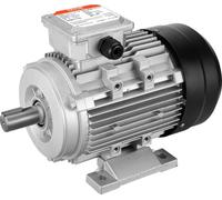 VEVOR Moteur 1,5kW 3000tr/min CA230/400V 9,5/3,5A triphasé arbre à clavette 24mm