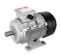 VEVOR Moteur 1,5kW 3000tr/min CA230/400V 9,5/3,5A triphasé arbre à clavette 24mm