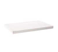 VEVOR Papier Filtre à Huile de Friture 65,3x43 cm, 100 Feuilles Filtrantes pour Friteuse, Papier Filtrant de Remplacement pour Friteuse 55 L, Accessoires pour Friteuse Commerciale Restaurant Stand