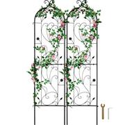 VEVOR Pergola 38x152cm Set de 2 pergolas en métal inoxydable pour fleurs de jardin Pergolas pour rosiers Supports pour concombres Décoration Clématite Spalier pour cour et pelouse