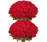 Rose Artificielle-VEVOR-Lot de 60-Fleurs Artificielles 508 mm-Bouquets de Fausses Fleurs Aspect Réaliste-pour Décoration Intérieure