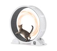 VEVOR Roue d'exercice pour Chat, 1038 mm, Roue de Tapis Roulant pour Chat avec Frein et Piste recouverte de Moquette, Roue de Course pour Chat d'intérieur, pour santé et Fitness des Animaux, Blanc