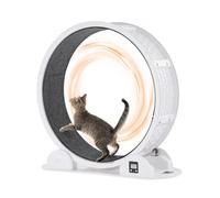 VEVOR Roue d'exercice pour chat avec frein 1038 mm pour santé des animaux blanc
