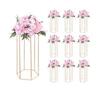 VEVOR Support Fleur Mariage Colonne Lot de 10 Support Fleur Centre de Table Mariage 60 cm Présentoir Floral Hexagonal Cubique pour Fêtes, Anniversaires, Déco Intérieure, Panneau Transparent Acrylique
