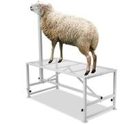 VEVOR Support pour chèvres et moutons, 1195x584 mm, support pour bétail, hauteur réglable 533-838 mm, support en métal pour traite tonte du bétail, charge 226 kg, avec têtière et boucle de nez, blanc
