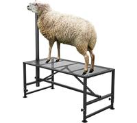 VEVOR Support pour chèvres et moutons, 1295x584 mm, support pour bétail, hauteur réglable 533-838 mm, support en métal pour traite tonte du bétail, charge 226 kg, avec têtière et boucle de nez, noir