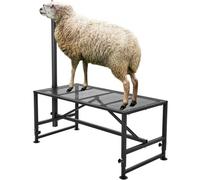 VEVOR Support pour chèvres et moutons, 1295x584 mm, support pour bétail, hauteur réglable 533-838 mm, support en métal pour traite tonte du bétail, charge 226 kg, avec têtière et boucle de nez, noir