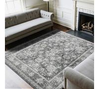 VEVOR Tapis Salon, 2,4 x 3 m, Grand Tapis Chambre Lavable et Antidérapant, Poils Courts et Denses, Résistant aux Griffures Animaux, Doux Confortable, Style Vintage, pour Chambre, Bureau, Entrée, Gris