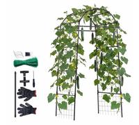 VEVOR Treillis à Concombres Forme Arche Treillis de Jardin Métal Support de Plante Grimpante Extérieur pour Vignes, Pois, Haricots, Courgettes, Tomates, Fleurs, Revêtement Plastique PE, 81,3x80x205 cm