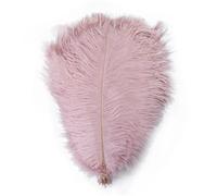 VEXALIFORM Plume Autruche 10 Plumes d'autruche colorées 15-60 cm | For l'artisanat, carnaval, mariage, bricolage, décor de Center de Table(Leather pink,45-50cm)